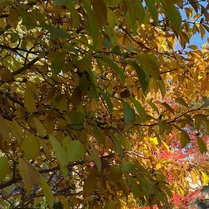 Meet your Posher, Sherry